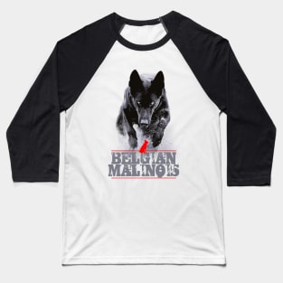 Belgian Malinois Baseball T-Shirt